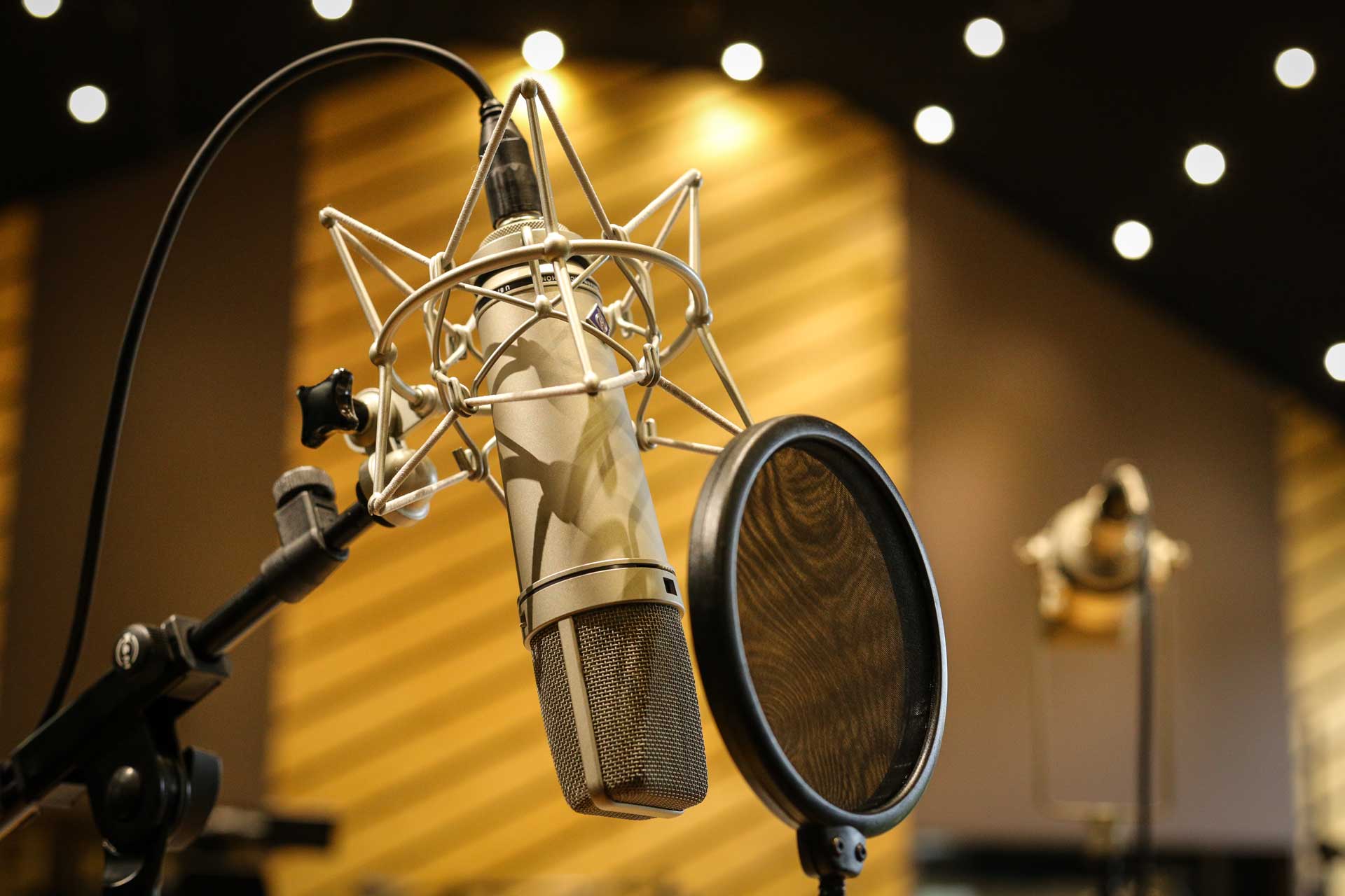 Neumann U87 — référence studio absolue